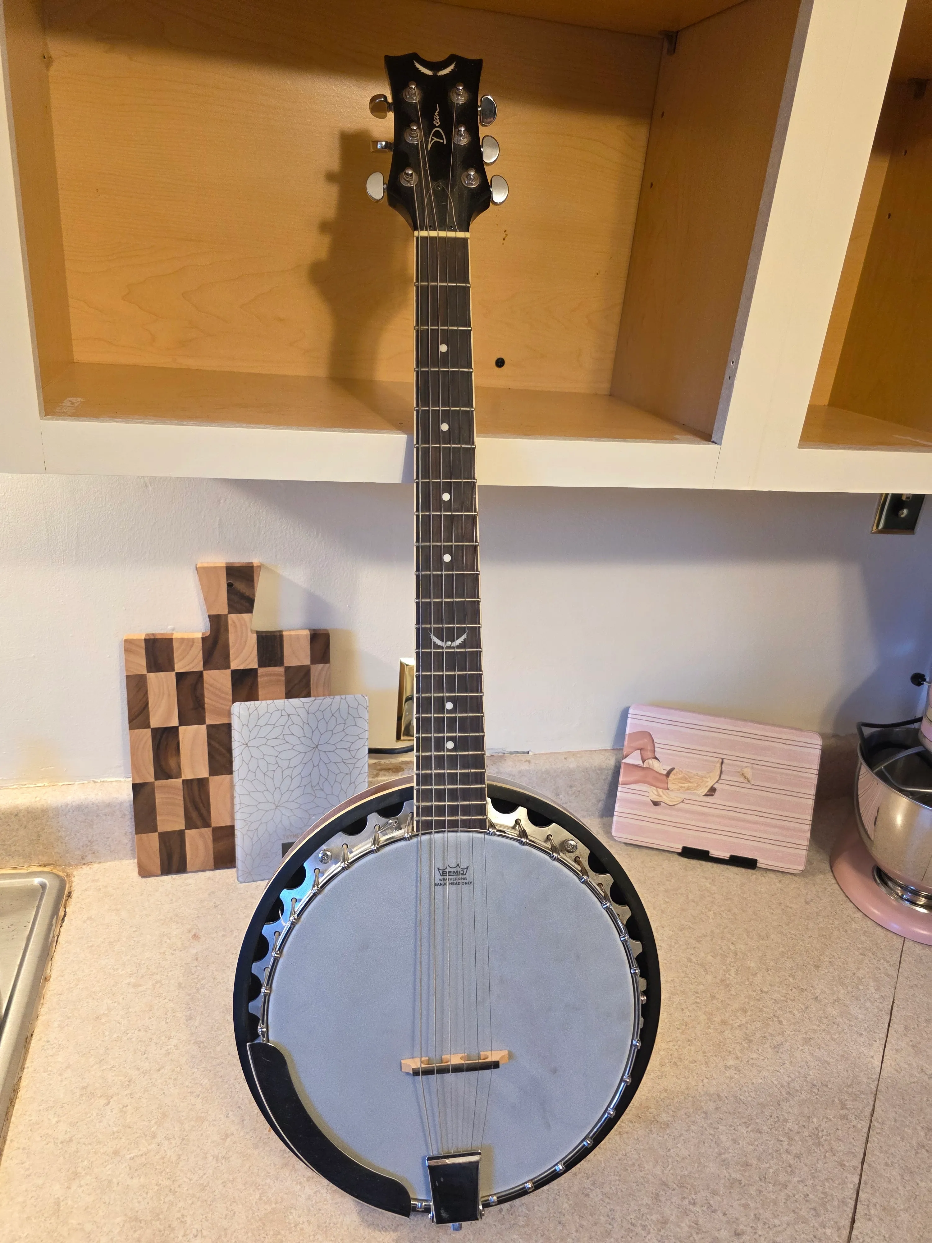 Dean Backwoods 6 (BW6) 6-String Guitar Banjo / Banjitar - Excellent Condition